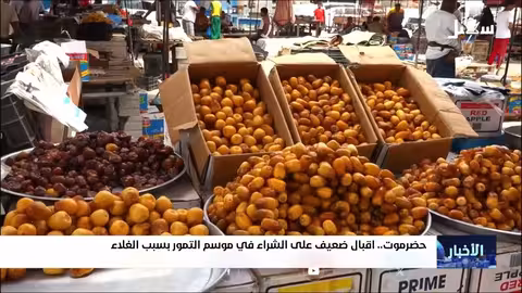 ارتفاع أسعار التمور في حضرموت يثير قلق المزارعين والمستهلكين