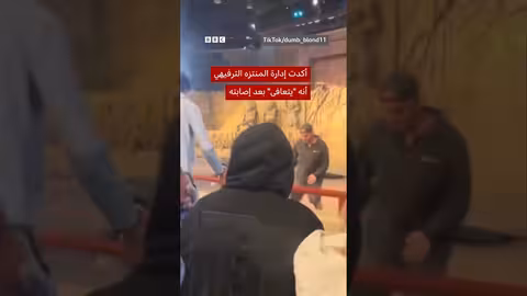 عامل في ديزني يصاب بصخرة اصطناعية تزن 180 كجم