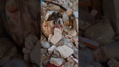 قريباً حكاية غزة