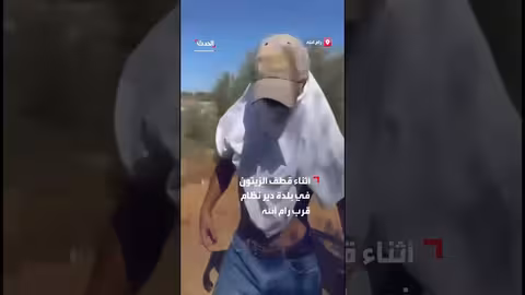 هجوم مستوطنين على عائلات فلسطينية أثناء قطف الزيتون برام الله