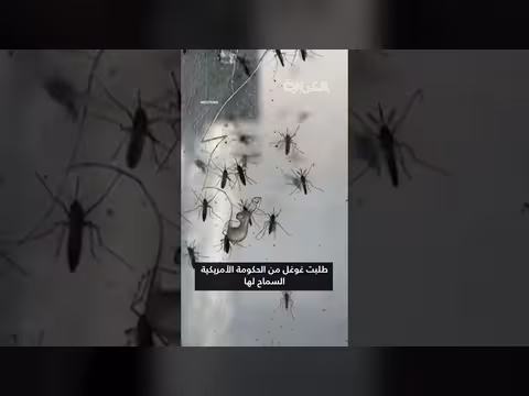 غوغل تخطط لإطلاق 32 مليون بعوضة مُستزرعة في كاليفورنيا وفلوريدا