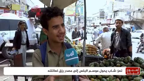 البلس: فاكهة يمنية تعيل أسرًا في ظل الظروف الاقتصادية