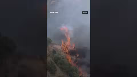 حرائق الغابات تستدعي تدخل الدولة
