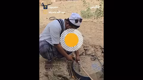 تحويل روث الحيوانات إلى وقود بديل: تجربة يمنية