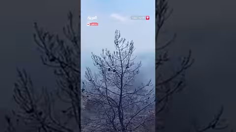 حرائق جديدة في طريق النبعين بجبال كسب بريف اللاذقية