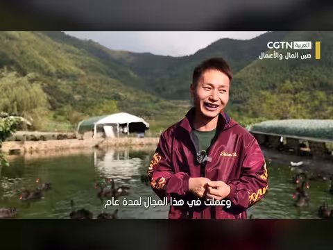 من جندي متقاعد إلى مزارع في جبال الصين: قصة نجاح