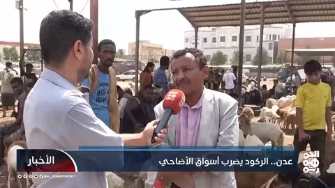 ارتفاع أسعار الأضاحي يهدد تقاليد العيد في عدن