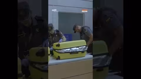 تهريب الثعابين البحرية: تجارة مربحة وغير قانونية