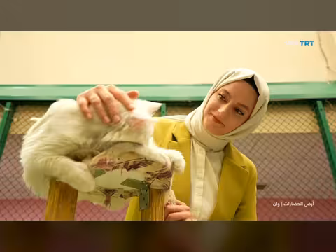 جزيرة أكدامار في بحيرة فان التركية