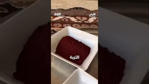جزيرة الألوان