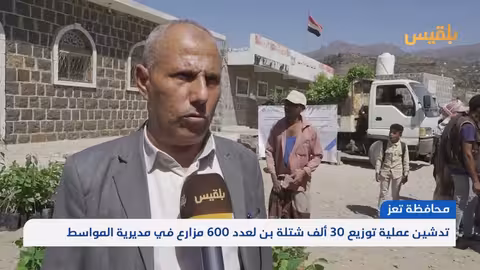 تعز: توزيع 30 ألف شتلة بن لدعم 600 مزارع