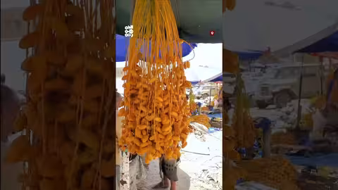 بدء وصول أول إنتاج النخيل إلى أسواق شبوة