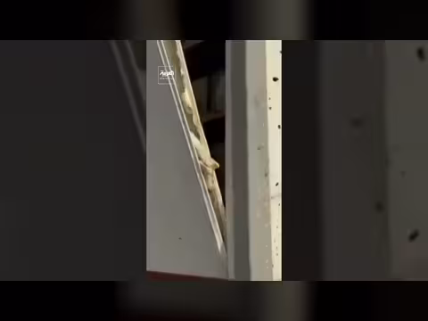 إعلان إيراني عن قصف أميركي-إسرائيلي قرب بوشهر النووي