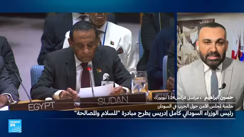 مبادرة سلام سودانية جديدة: دعوة لدعم دولي من مجلس الأمن