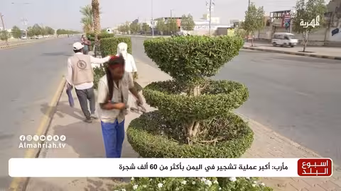 مارب: جهود لتشجير المدينة وتحويلها إلى مساحات خضراء