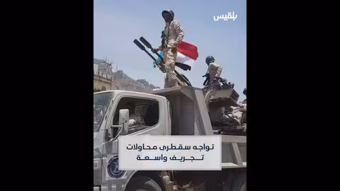 نفوق عشرات الدلافين على سواحل سقطرى: مشاهد صادمة.