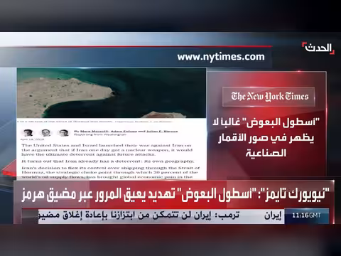 أسطول البعوض يعيق المرور عبر مضيق هرمز