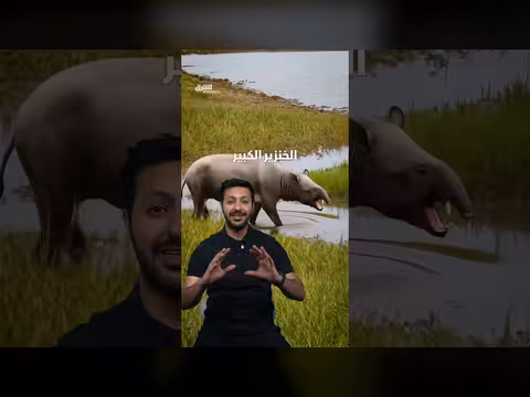 كيف تطور الفيل من حجم الأرنب إلى حجمه الضخم؟