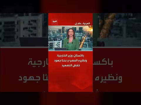 وزير الخارجية الباكستاني ونظيره المصري يناقشان خفض التصعيد