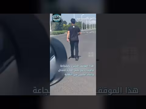 كلب يركض بين السيارات طالباً المساعدة