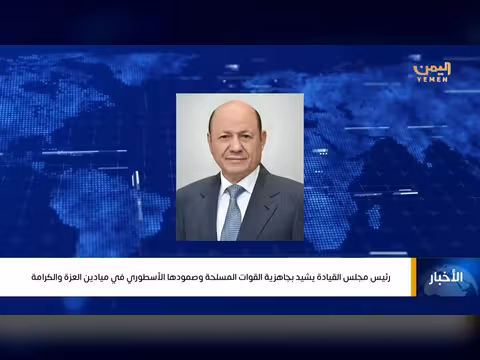 العليمي يثني على صمود القوات المسلحة في عيد الفطر