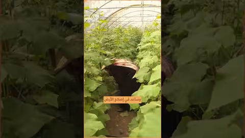 حيث الإنسان 7 يعيد الحياة لـطيبة وأرضها في تعز