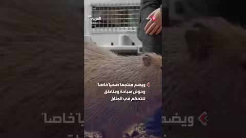 الكابيبارا تستكشف موطنها الجديد في حديقة حيوان لندن