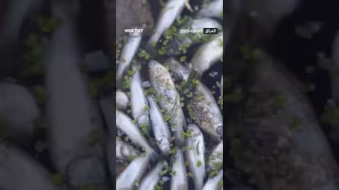 احتجاجات إسرائيلية أمام اجتماع مجلس الوزراء برئاسة نتنياهو