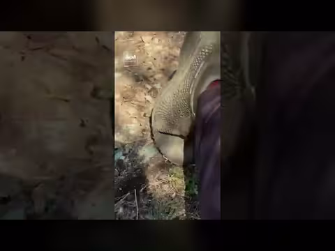 لقطات جديدة لتفجير جسر B1 بين كرج وطهران