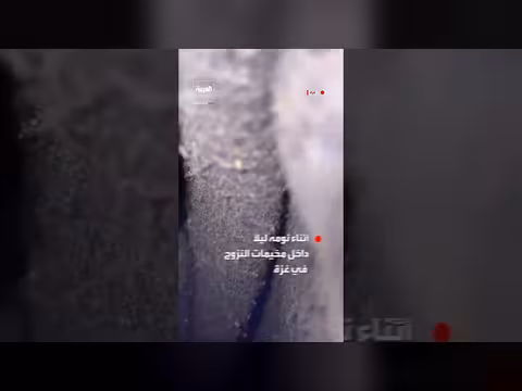 غزو الجرذان لمخيمات النازحين في غزة