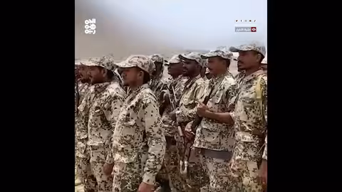 طارق صالح يتفقد تدريب المقاومة الوطنية في الساحل الغربي