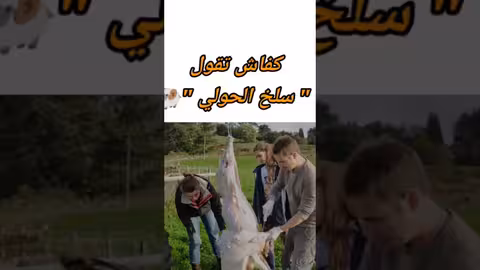كفاش تقول سلخ الحولي vocabulaire de la fête de sacrifice العيد الكبير