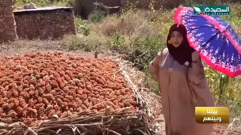 شاهد مايا العبسي وهي تقوم بتحميص البن في هرر بأثيوبيا #طائر_السعيدة7 #رمضان #السعيدة