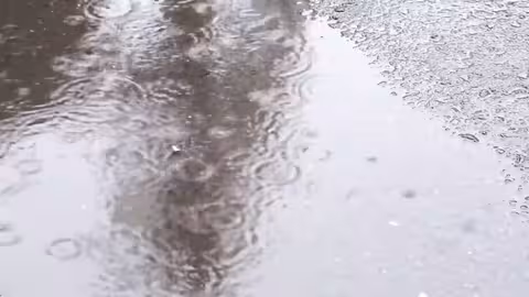 مطر مطر والضبا بينه | أيوب طارش