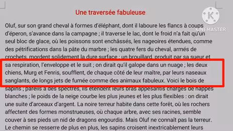 tronc commun le chevalier double évaluation N3 deuxième semestre compréhension et langue