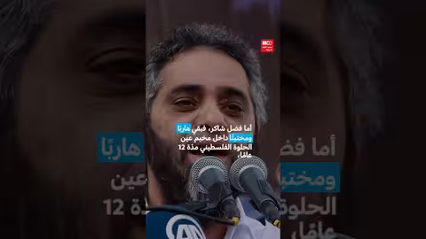 فضل شاكر: من فنان إلى متهم في لبنان