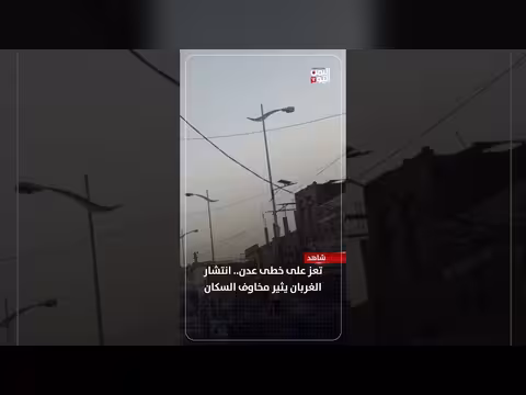 انتشار الغربان في تعز يثير مخاوف السكان