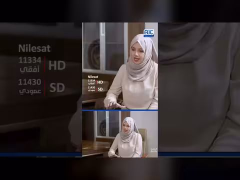 الحالمي: الجنوب شريك في مكافحة الإرهاب