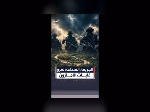 تقرير دولي: الجريمة المنظمة تتوسع في غابات الأمازون