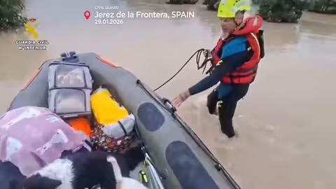 إنقاذ حيوانات أليفة بعد فيضانات في جنوب إسبانيا