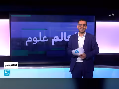 رصد حرب أهلية بين قردة الشمبانزي في أوغندا