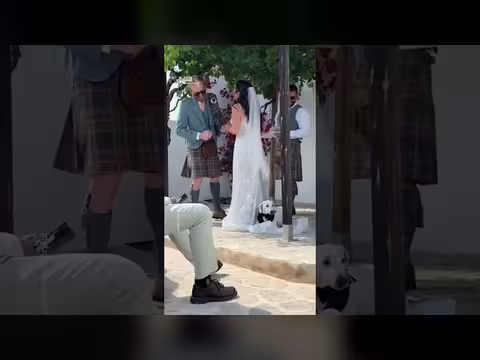 كلب يظهر غيرته في حفل زفاف مالكته