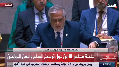 باكستان تشدد على التعددية وتسوية النزاعات سلمياً في مجلس الأمن