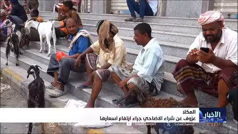 ارتفاع أسعار الأضاحي يلقي بظلاله على عيد الأضحى في المكلا