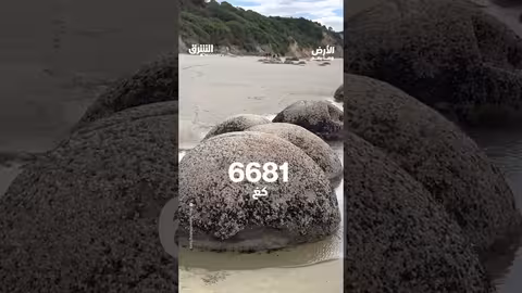 بيض التنين: نظرة على عالم الخيال