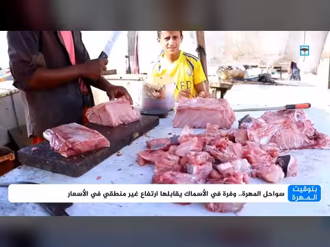 ارتفاع أسعار الأسماك في المهرة