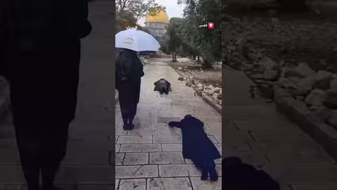 اقتحام 100 مستوطن للمسجد الأقصى وأداء صلوات دينية