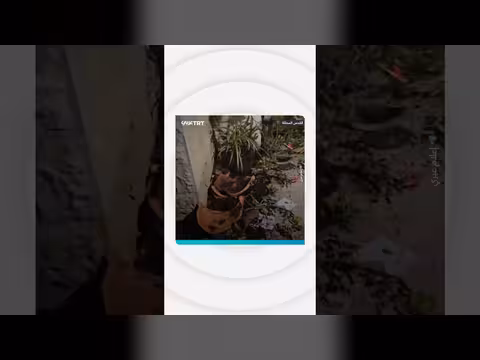 يهود من الحريديم يقتحمون منزل قاضٍ