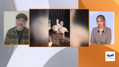 انفصال عمرو أديب ولميس الحديدي بعد زواج دام 25 عامًا