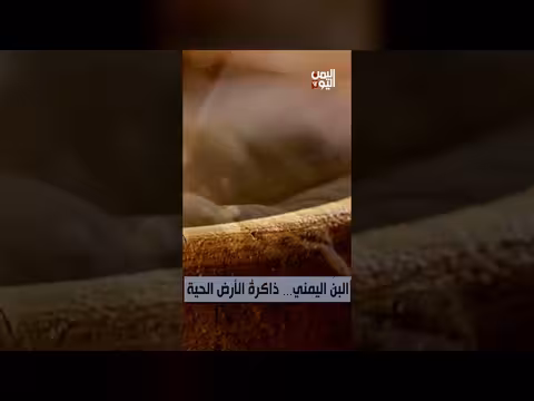 موكا: رحلة البن اليمني عبر التاريخ والأسواق العالمية